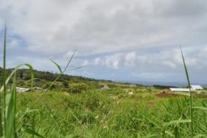 WML PEAHI HUI LANDS SUBDIVISION
